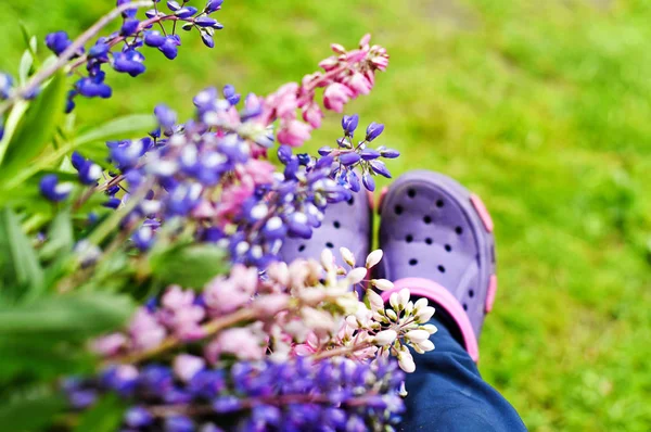 Buket Lupin Lastik Ayakkabı Bahçe Yakın Çekim Için Mor — Stok fotoğraf