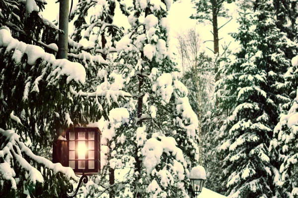 Laterne Winterwald Schöner Winterhintergrund Wintersaisonkonzept Urlaub Neujahr Weiche Selektive Fokussierung — Stockfoto