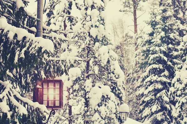 Lanterna Floresta Inverno Fundo Inverno Bonito Conceito Estação Inverno Férias — Fotografia de Stock