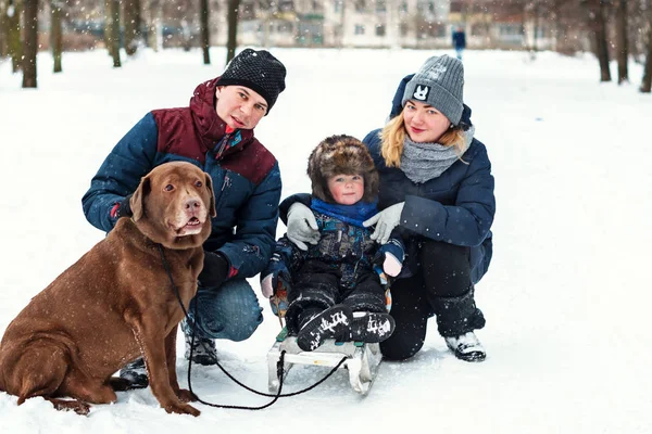Glückliche Familie Mit Labrador Hund Winter Familienporträt — Stockfoto