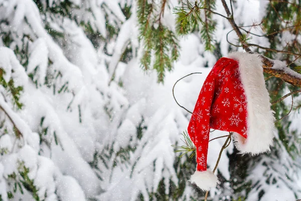 Fundo Natal Com Árvore Neve Chapéu Santa Vermelho — Fotografia de Stock
