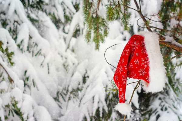 Vánoční Pozadí Sněhem Strom Červené Santa Klobouk — Stock fotografie