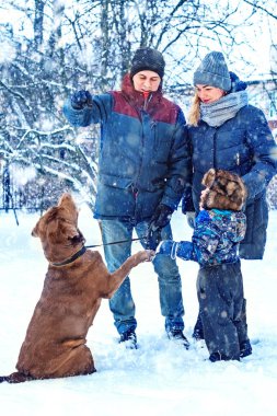 Kışın köpekli mutlu bir aile. Karlı bir kış gününde güzel, romantik bir atmosfer. İlişki kavramı.