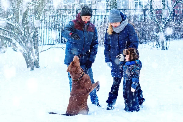 Glad Familj Med Hund Vintern Vacker Romantisk Atmosfär Snöig Vinterdag — Stockfoto