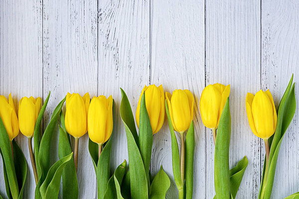 Yellow tulips flowers on white wooden background. Waiting for spring. Happy Easter card. Flat position, top view. Place for text.