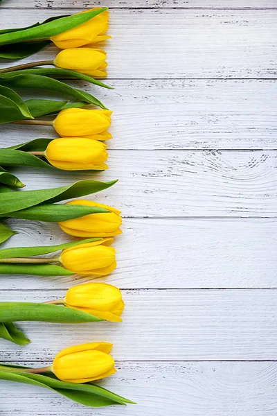 Beyaz ahşap arka planda sarı lale çiçekleri. Baharı bekliyorum. Mutlu Paskalyalar. Düz konum, üst manzara. Metin için yer. — Stok fotoğraf