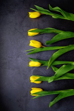 Sarı laleler arka planda çiçekler. Baharı bekliyorum. Mutlu Paskalyalar, kadınlar günü, anneler günü, 8 Mart. Düz konum, üst manzara. Metin için yer.