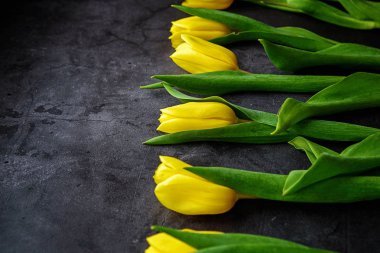 Sarı laleler arka planda çiçekler. Baharı bekliyorum. Mutlu Paskalyalar, kadınlar günü, anneler günü, 8 Mart. Düz konum, üst manzara. Metin için yer.