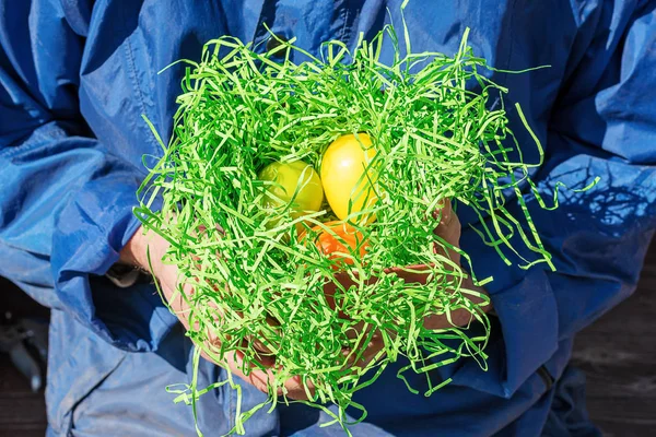 Concetto di Pasqua. L'uomo tiene un nido con uova di Pasqua dipinte . — Foto Stock