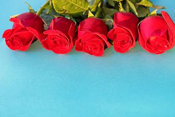 青い背景に5つの美しい赤いバラ — ストック写真