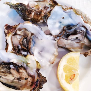 Buz ve limon ile beyaz bir tabak içinde taze istiridye