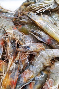 Restoranda taze karides pişirmeye hazır, kopya alanı ile karides arka plan