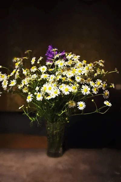 Ramo de flores silvestres con margaritas en un jarrón —  Fotos de Stock