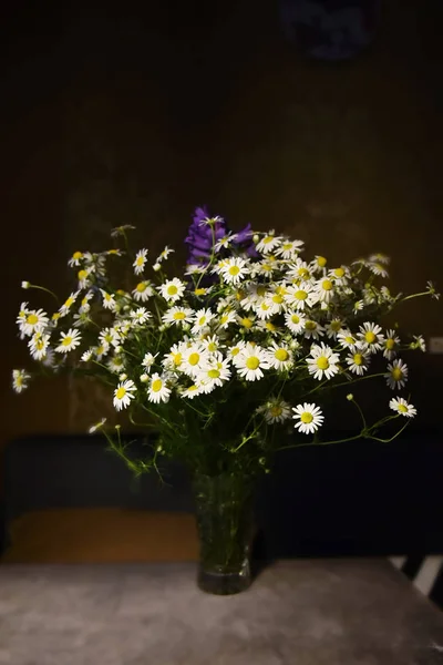 花瓶にデイジーと野生の花の花束。 — ストック写真