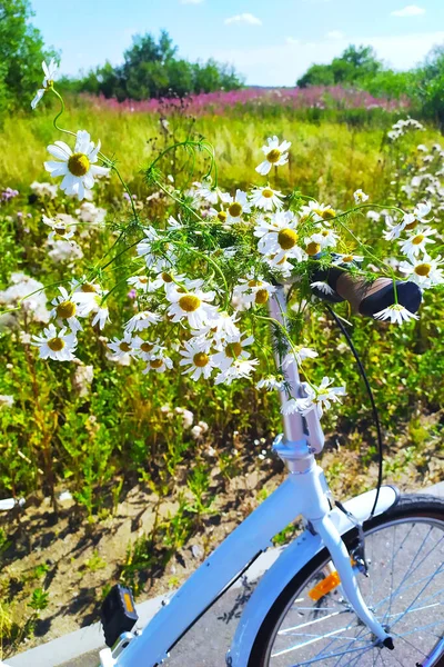 自行车把手上的一束白色雏菊 夏天散步的照片 — 图库照片