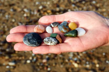 Renkli plaj kayalarını tutan, bulanık plaj arka planına sahip kadın ellerinin yakın plan görüntüleri..
