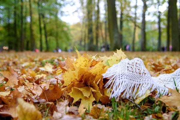 Branco Malha Lenço Delicado Folhas Outono — Fotografia de Stock