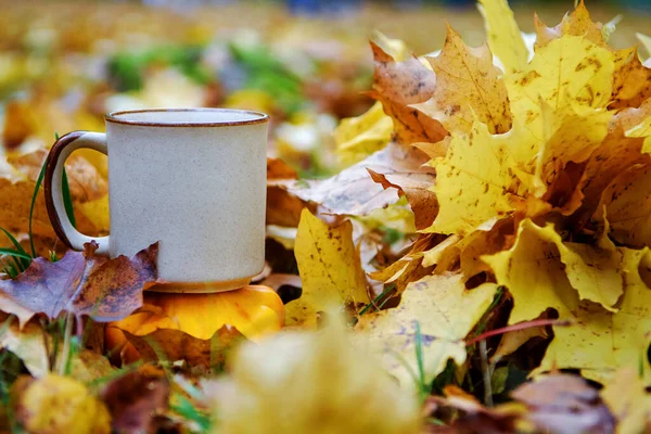 Keramische Tasse Auf Herbstblättern — Stockfoto