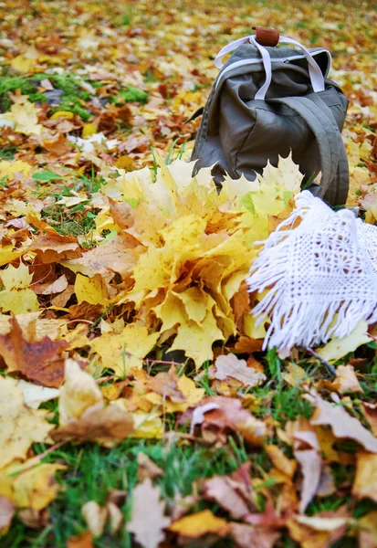 Eco Friendly Fabric Backpack White Knitted Soft Scarf Autumn Leaves — Stock Photo, Image