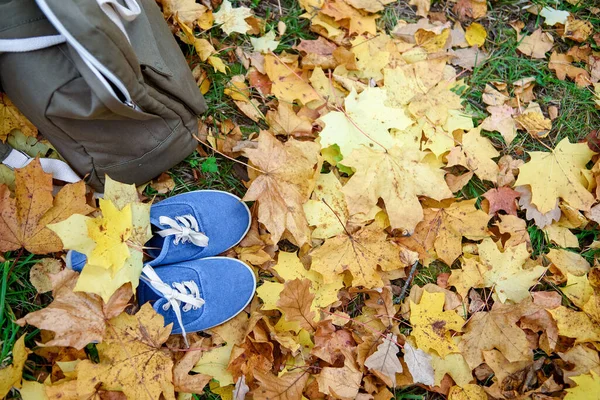 Tyg Miljövänlig Ryggsäck Och Blå Sneakers Höst Löv — Stockfoto