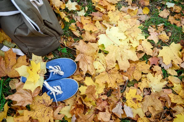 Plecak Przyjazny Dla Środowiska Niebieskie Trampki Jesienią — Zdjęcie stockowe