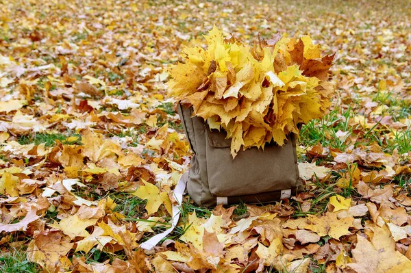 Plecak Świeżym Powietrzu Jesiennej Przyrody Temat Wędrówki Urlop Jesienny — Zdjęcie stockowe