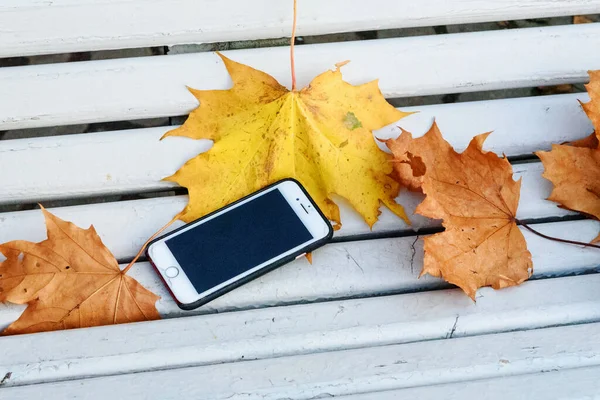 白い木の公園のベンチに秋の黄色のカエデの葉と携帯電話 — ストック写真