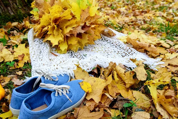 Ткань Экологически Чистый Рюкзак Синие Кроссовки Осенних Листьях — стоковое фото
