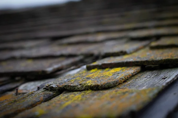 mossy wood shingle on roof