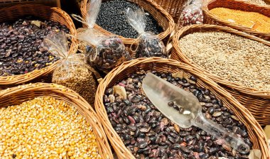 Marketlerde fasulye, mercimek, bezelye, nohut. Vejetaryen Sincaplar. Organik sağlıklı taze gıda pazarı. Arka planda yeşil çimenler bulanıklaştı. Bitki diyeti