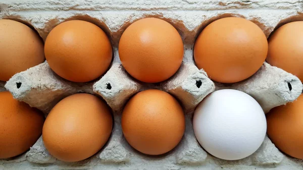 Uzavření zobrazení syrového kuřecích vajec v krabici s vajíčky — Stock fotografie