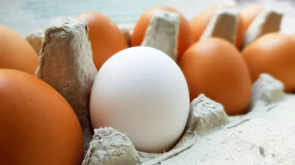 Κλείστε την όψη των ακατέργαστων αυγών κοτόπουλου σε ένα κουτί αυγών — Φωτογραφία Αρχείου