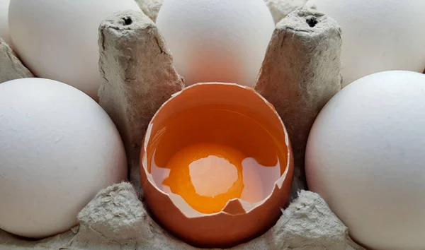 Kuřecí vejce je napůl rozdělené mezi ostatní vajíčka. Uzavření v zásobníku na papír pro uložení — Stock fotografie