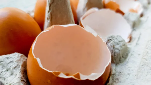 Κέλυφος αυγού σε ένα δίσκο στην κουζίνα μου κοντινό-up — Φωτογραφία Αρχείου