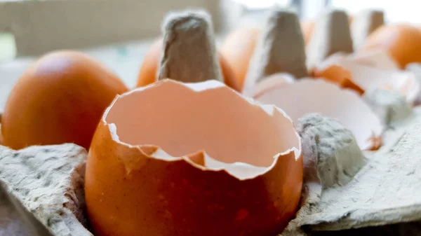 Κέλυφος αυγού σε ένα δίσκο στην κουζίνα μου κοντινό-up — Φωτογραφία Αρχείου