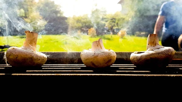 Funghi porcini, alla griglia o alla griglia. Funghi su un traliccio in fumo sulla natura in una giornata estiva soleggiata. Il processo di cottura dei funghi alla griglia — Foto Stock