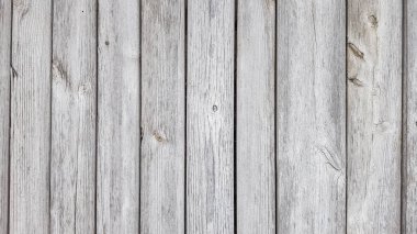 Grunge ahşap doku arka planı. Gri ahşap çit panellerini kapat