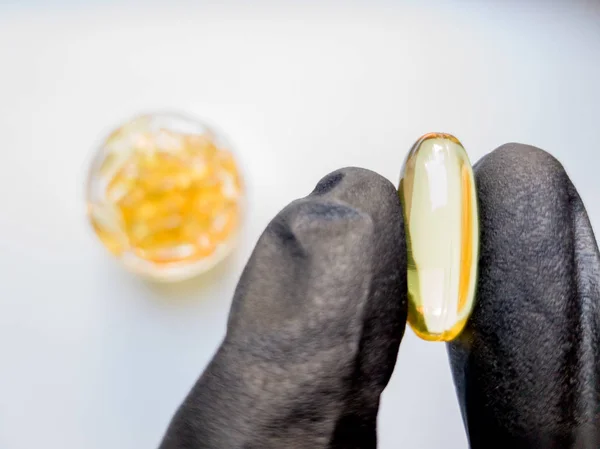 fish oil capsules in hand in a black medical glove on a white background, the hand takes one tablet from a saucer or plate. Hand holding omega 3 capsule on a white background. Healthcare concept