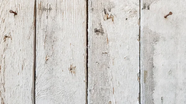 Textura de madera Textura de madera blanca con motivos naturales de fondo. Suelos de madera, antigua superficie de fondo de árboles naturales . — Foto de Stock