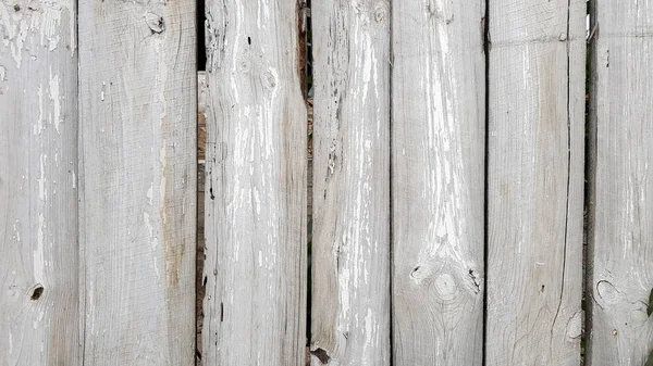 Textura de madera Textura de madera blanca con motivos naturales de fondo. Suelos de madera, antigua superficie de fondo de árboles naturales . — Foto de Stock