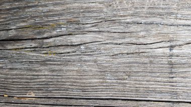 Ahşap desenli, beyaz ahşap desenli, doğal desenli. Ahşap döşeme, doğal ağaçların eski arka plan yüzeyi.