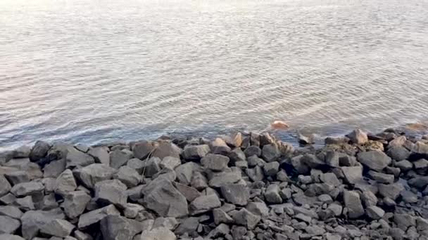 Primer Plano Una Playa Rocosa Por Tarde Ondas Agua Orilla — Vídeos de Stock