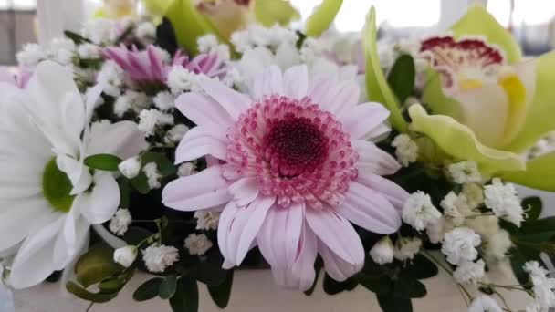 Schöner Blumenstrauß Mehrfarbige Blumen Aus Nächster Nähe Festtagsstimmung Vitrine Mit — Stockvideo