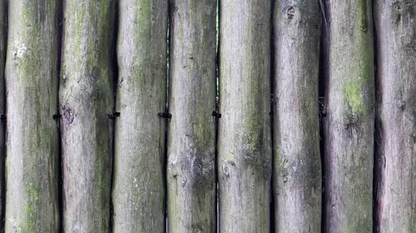 Het Hek Gebouwd Van Hout Grijze Achtergrond Ruwe Logs Muur — Stockfoto