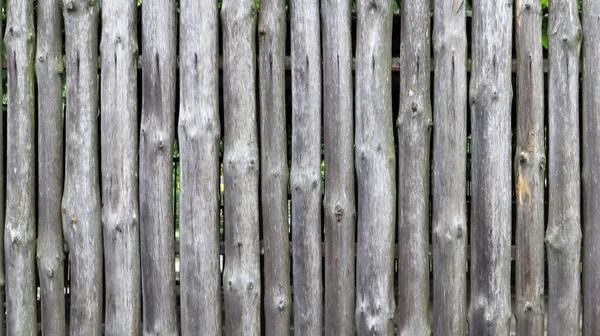 The fence is built of logs. Gray background. Rough logs wall vertical background. Old wood, natural wall material.