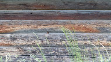 Arkaplan olarak ahşap dokusu. Düz atış için masanın yüzeyinin üst görüntüsü. Soyut boş şablon. Kırsal Yıpranmış Ağaç Kulübesi Düğümlü ve Çivi Delikli.