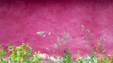 Mora boyanmış eski bir evin kil cephesinin dokusu. Ukrayna 'nın eski evi
