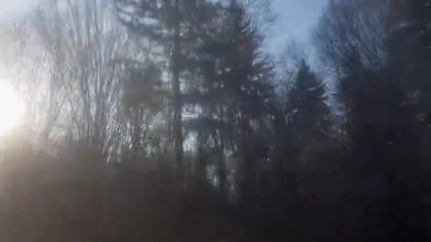 夕阳西下的阳光穿过树林 从移动的火车或马车的窗户向黄昏射击 阳光穿过一排树 — 图库视频影像