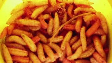Maggot Fish Worms, makro film. Sarı plastik bir kutuda balık tutmak için izole edilmiş canlı ve çirkin sinek larvalarının makro video görüntülerini kapatın. Haşere istilası. Uçan larvalar.