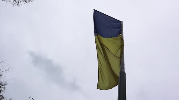 Flagga Ukraina Flaggstång Fladdrar Vinden Mot Djup Dramatisk Himmel Molnigt — Stockvideo